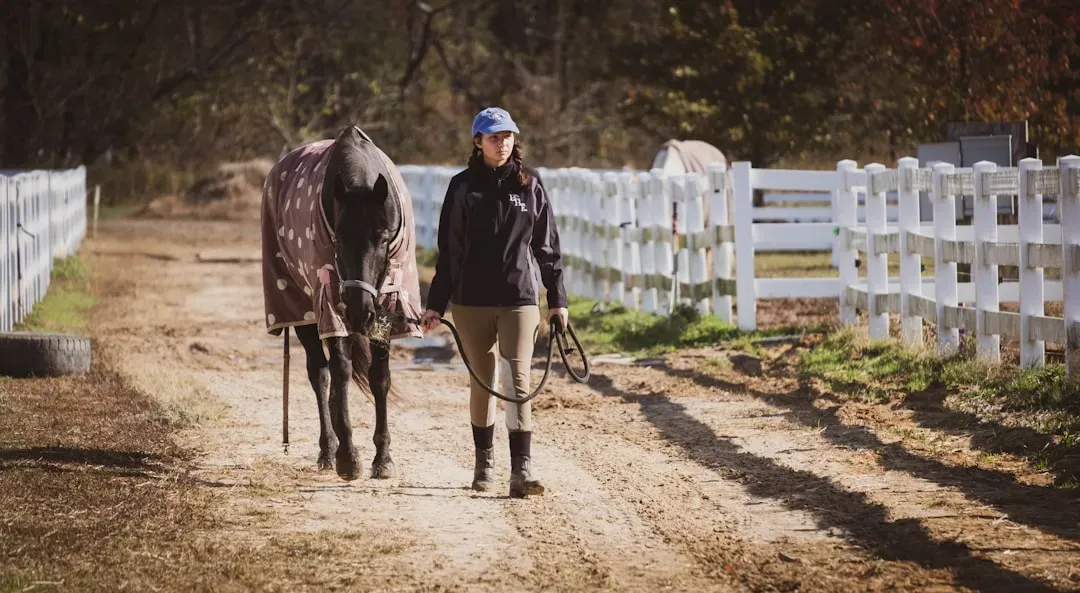How You Can Test Your Horse’s Ability To Read Your Body (Image Credits: Unsplash)