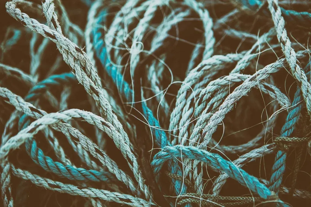 4. Cordage and Rope from Plants and Animal Sinew (Image Credits: Rawpixel)