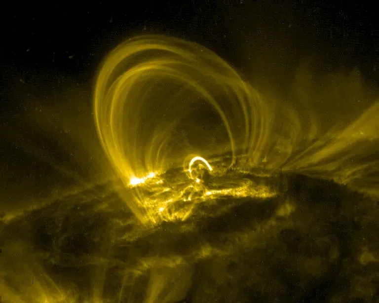 Magnetic Fields Are the Sun’s Invisible Skeleton (Image Credits: Wikimedia)