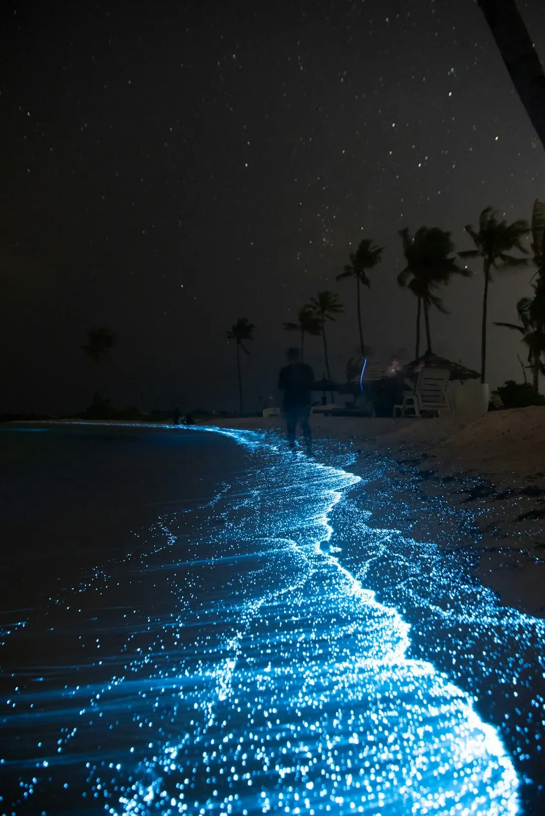 4. Bioluminescent Seas That Ignite With Every Step (Image Credits: Unsplash)