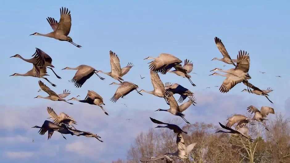 Migratory Birds and Magnetoreception: The Living Compass (Image Credits: Pexels)