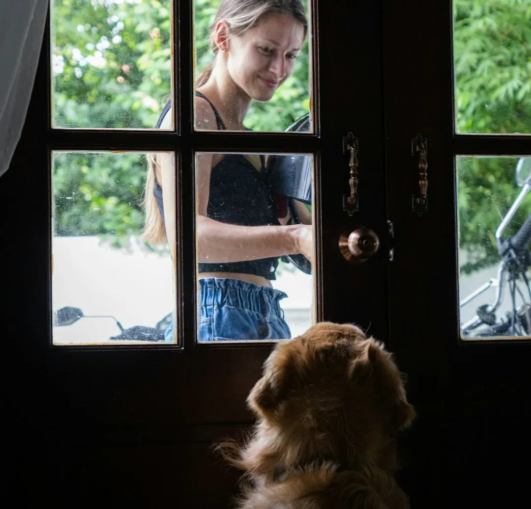 You Can Shape What Your Dog Thinks and Feels About You Leaving (Image Credits: Unsplash)
