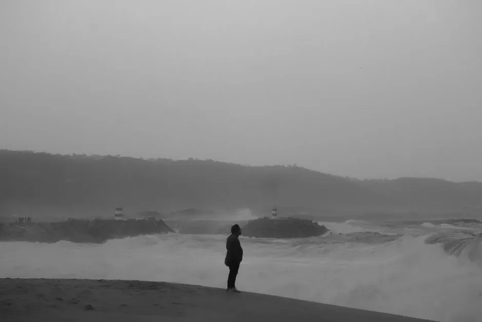 How Weather Talks to Your Brain: Light, Mood, and the Dopamine–Serotonin Dance (Image Credits: Pexels)