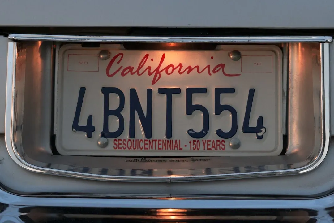 1. License Plates: When Sharks Eat Your Car’s ID (Image Credits: Unsplash)