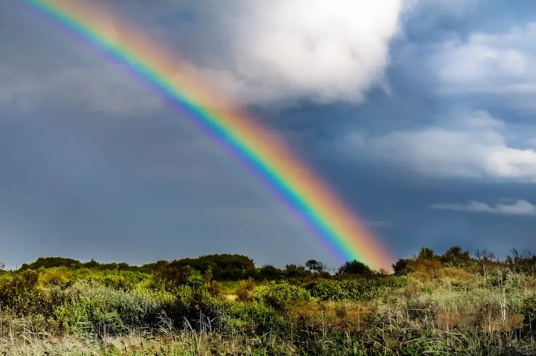 The Surprising Secret: A Rainbow Isn’t Really in the Sky (Image Credits: Unsplash)