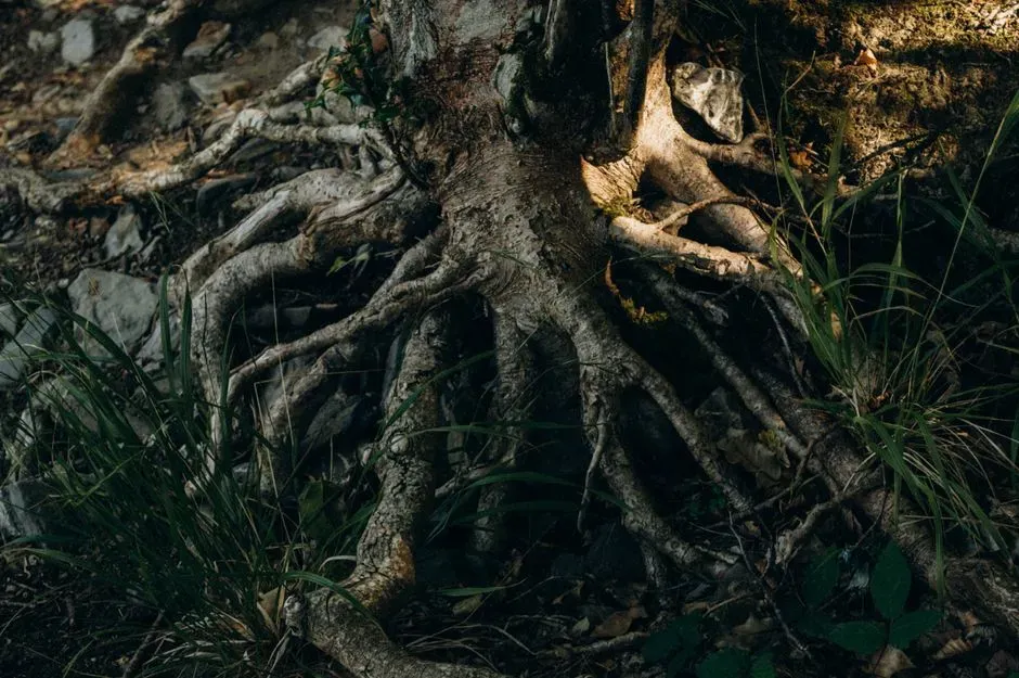 #6 - Roots Feed an Entire Underground Workforce (Image Credits: Pexels)