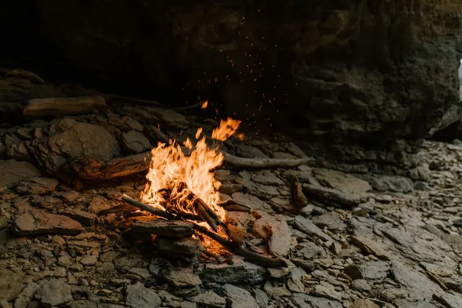 #14 - Fire Use Is Nearly Two Million Years Old (Image Credits: Pexels)