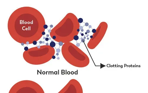 The Hidden First Responders: How Your Body Reacts in Seconds (Image Credits: Flickr)