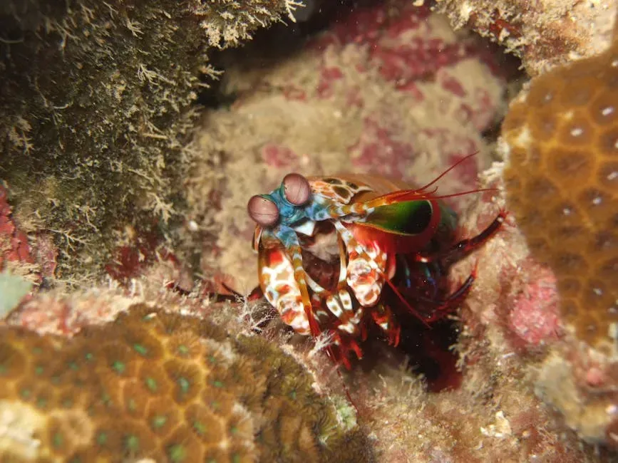 The Mantis Shrimp's Vision: A Universe of Color You Will Never Experience (Image Credits: Pexels)
