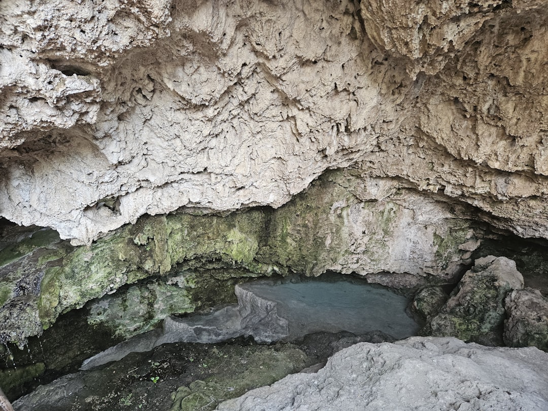 Global Perspectives (Image Credits: Unsplash)