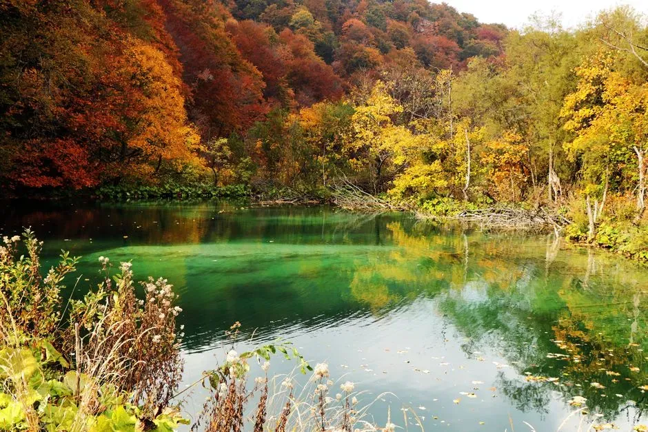 Conclusion: Once You See the Chemistry, You Never Look at Water the Same Way (Image Credits: Pexels)