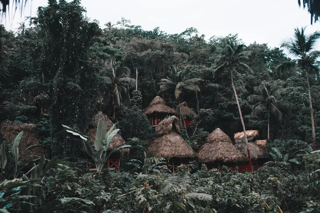 1. The Mashco Piro: Amazon's Largest Uncontacted Group (Image Credits: Unsplash)