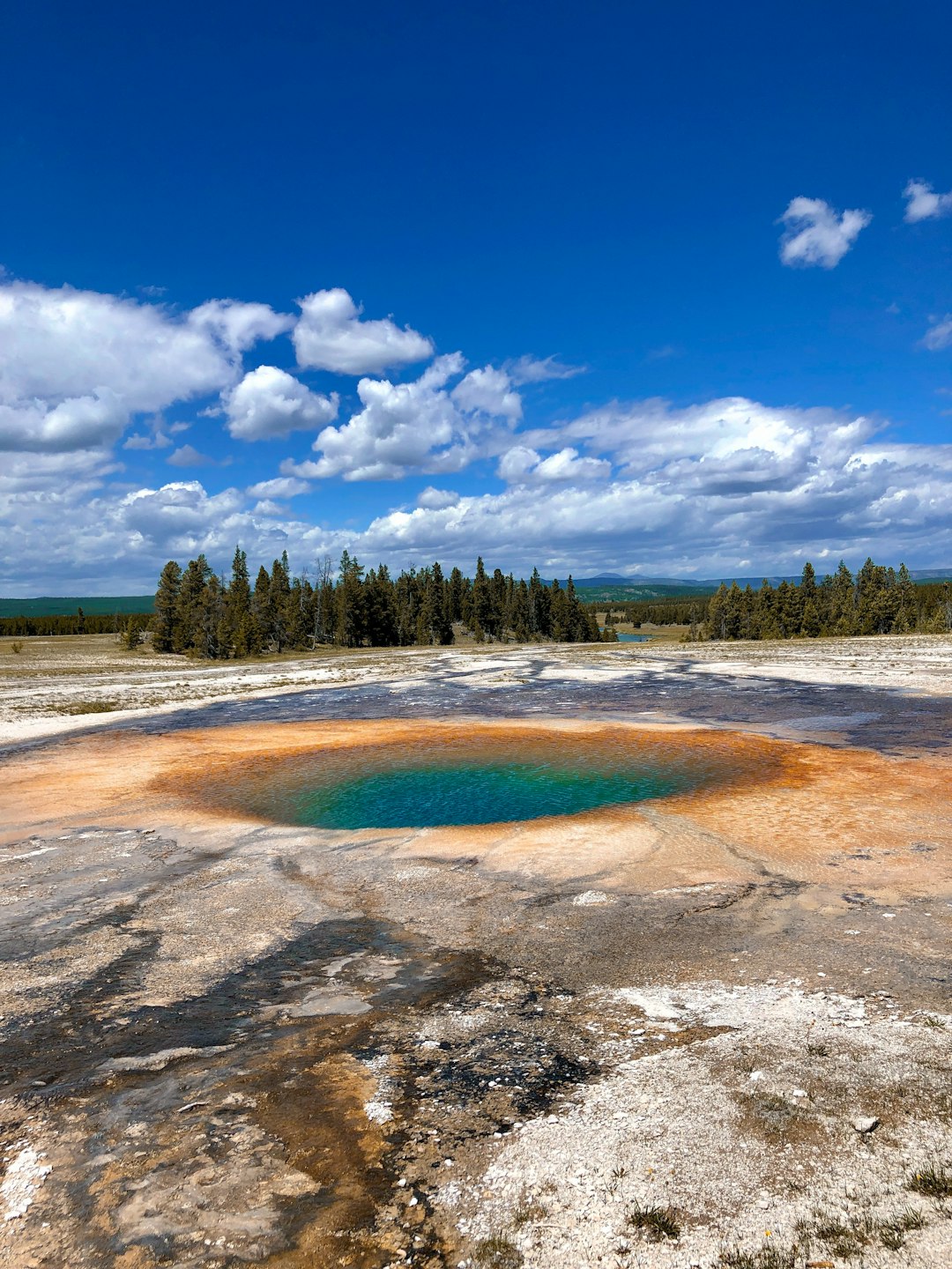 Midway Geyser Basin: The Rainbow Chemistry (Image Credits: Unsplash)