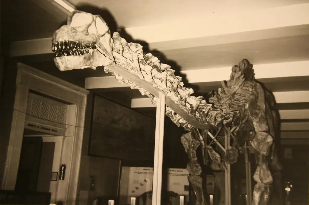 #2 - The Most Famous Dinosaur Skeleton Ever Mounted Had the Wrong Head (Image Credits: Flickr)