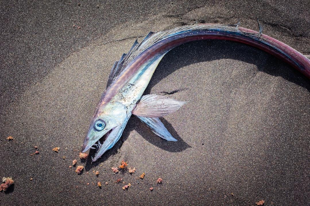 Evolving Perspectives and Recent Developments (Image Credits: Unsplash)