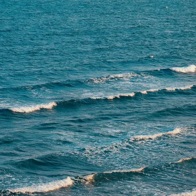 Why This Ancient Layer Matters to Your Future (Image Credits: Pexels)