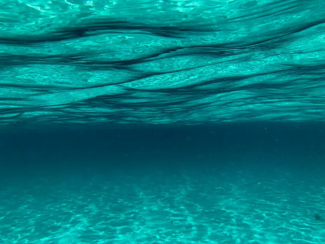 #9 The Slow Comeback of Water Clarity and Underwater Light (Image Credits: Unsplash)