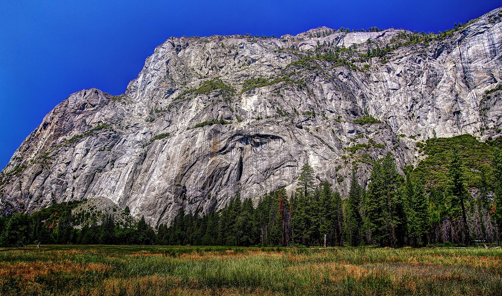 Earth Sign Stability: Taurus, Virgo, and Capricorn (Image Credits: Flickr)