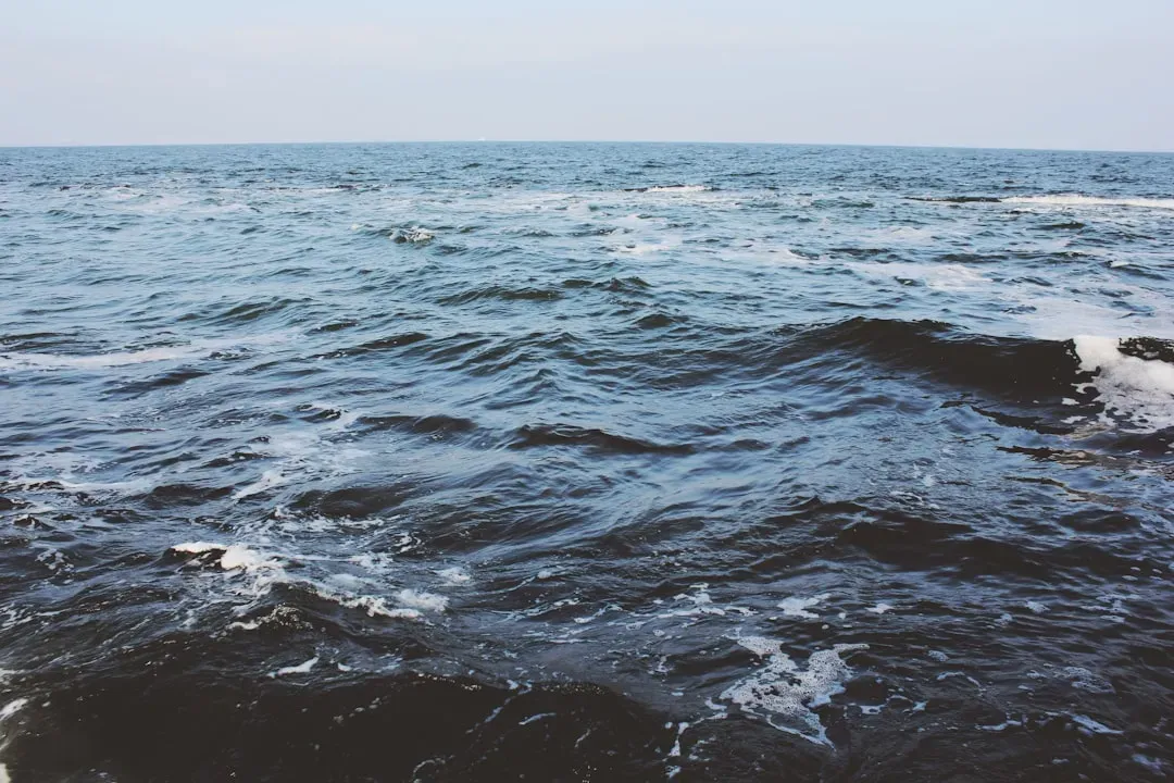 How Changing Oceans Scramble Food Webs and Fisheries (Image Credits: Unsplash)