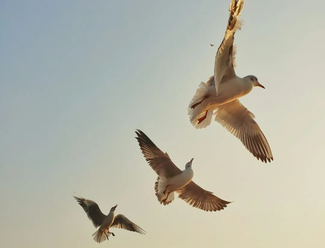 Smell as a Map: The Surprising Role of Odors (Image Credits: Unsplash)