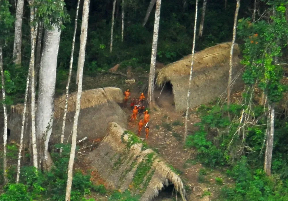 3. Isolated Peoples of West Papua: Hidden in Dense Jungle (Image Credits: Wikimedia)