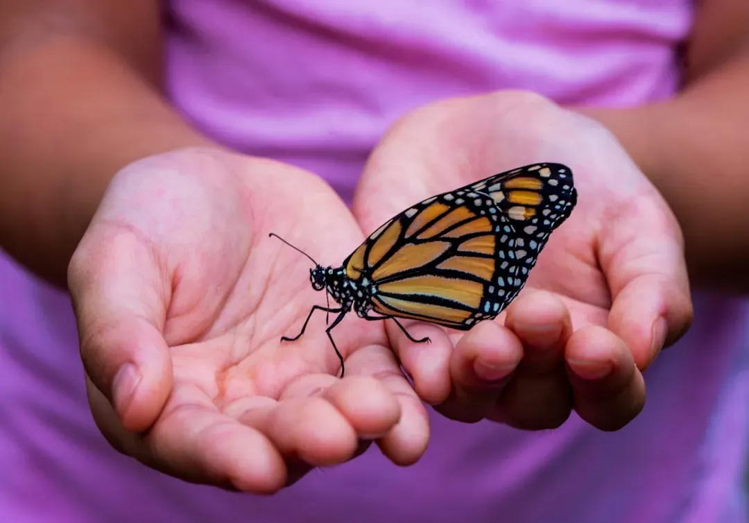 Spirit Animals, Culture, And Respectful Curiosity (Image Credits: Unsplash)
