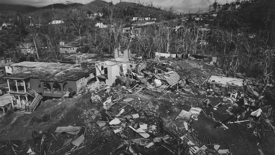 What The Storm Actually Did To The City (Image Credits: Pexels)