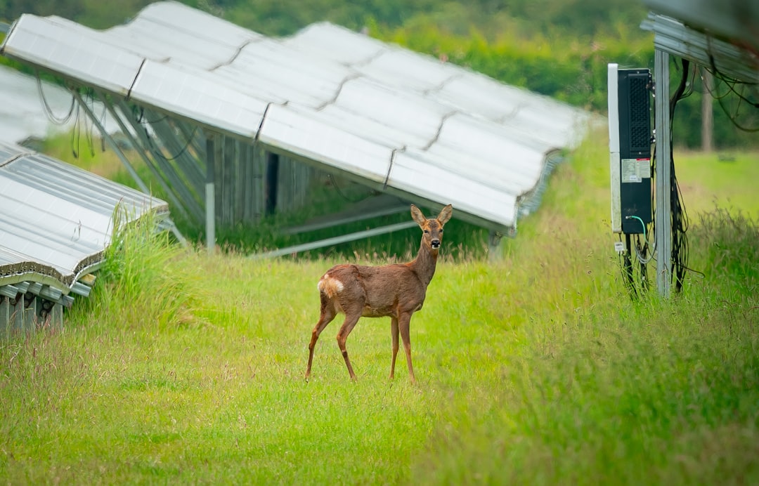 The Future Landscape (Image Credits: Unsplash)