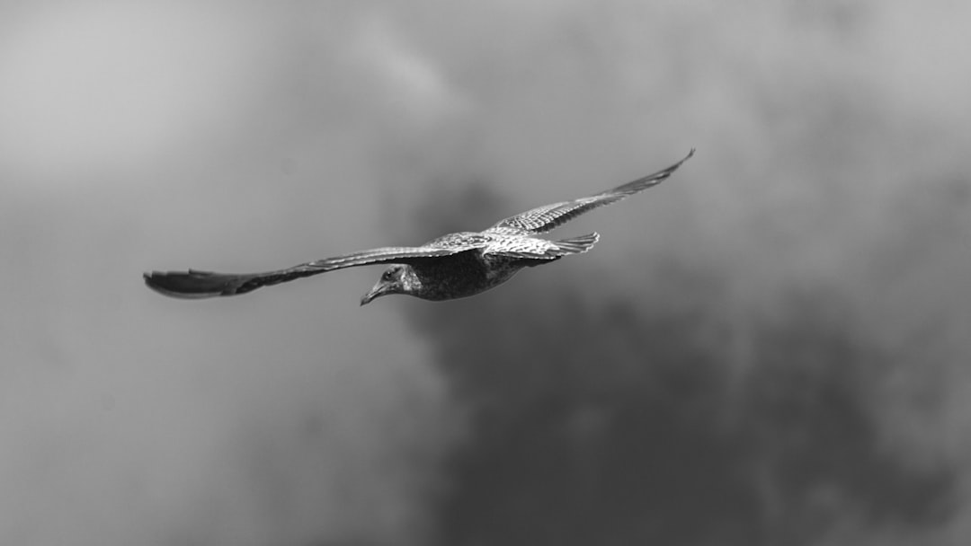 The Hidden Clues (Image Credits: Unsplash)