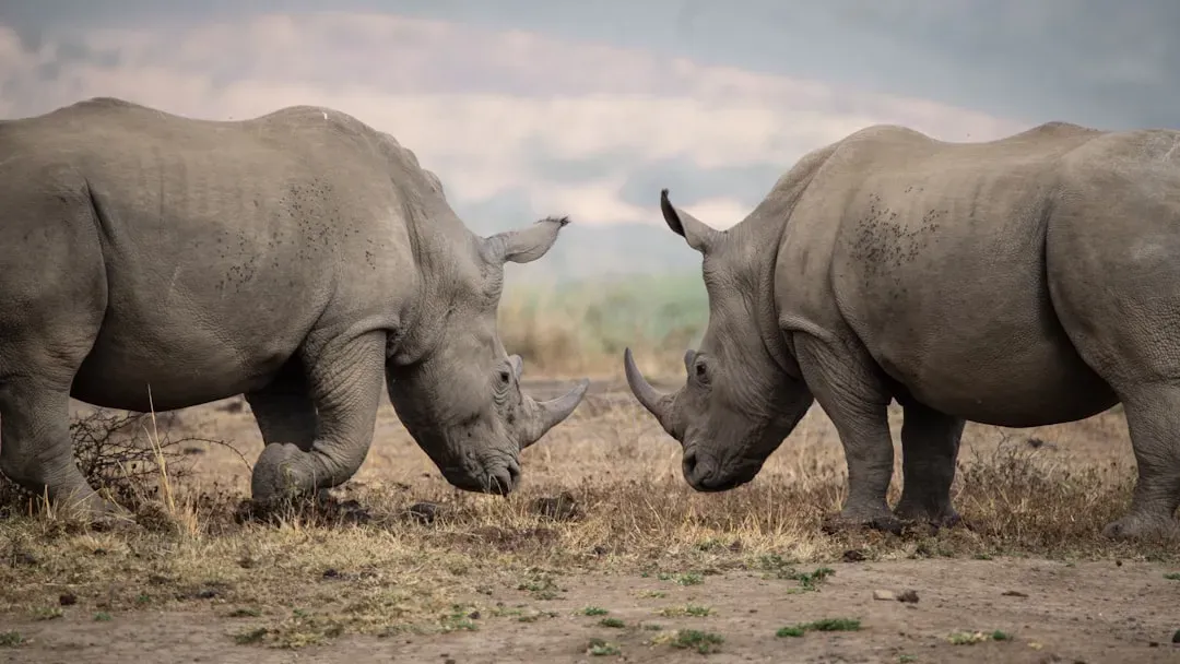 From Wonder to Action: How Curious Readers Can Actually Help (Image Credits: Unsplash)