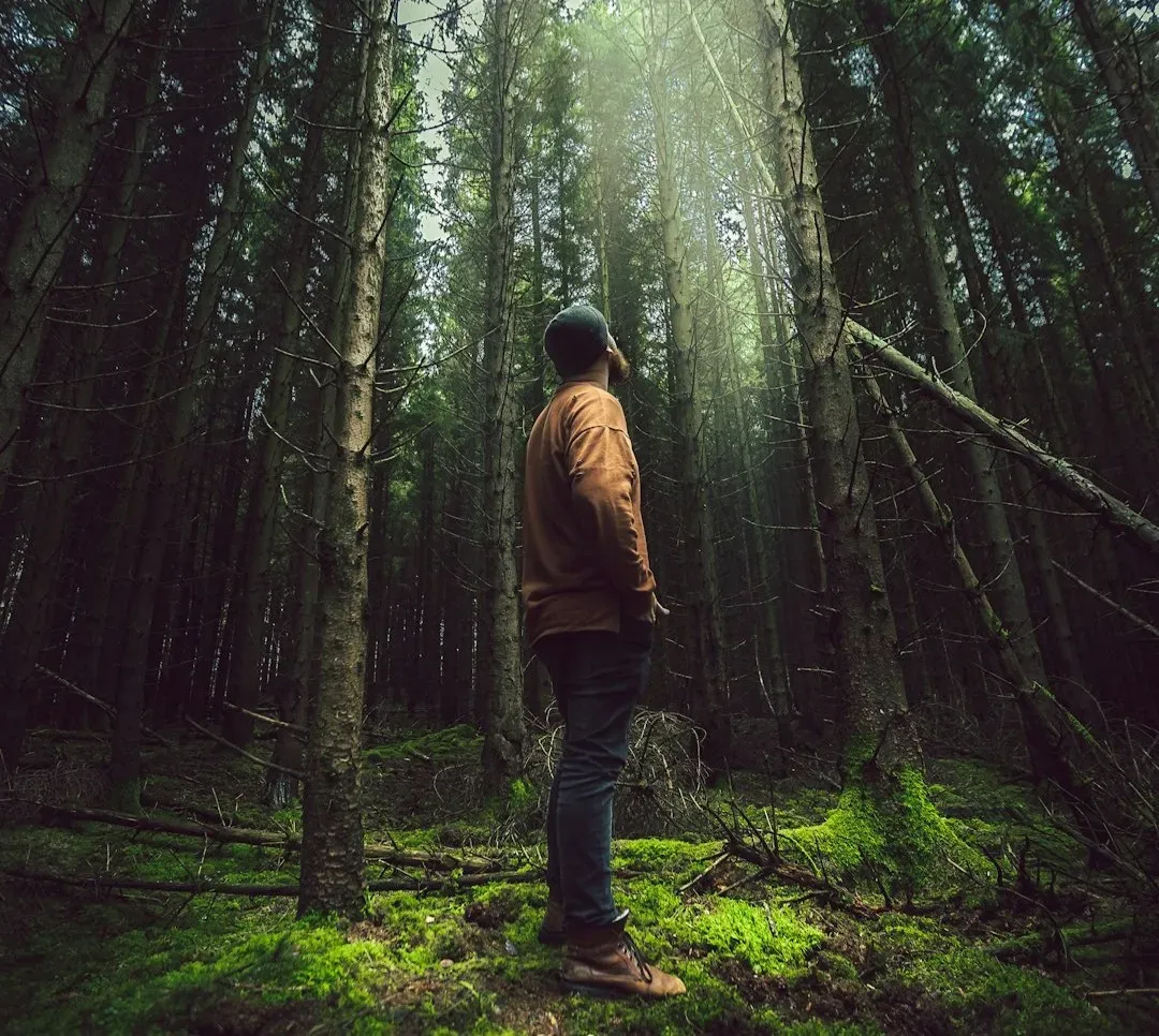 How Walking in a Forest Outperforms Your Meditation App (Image Credits: Unsplash)