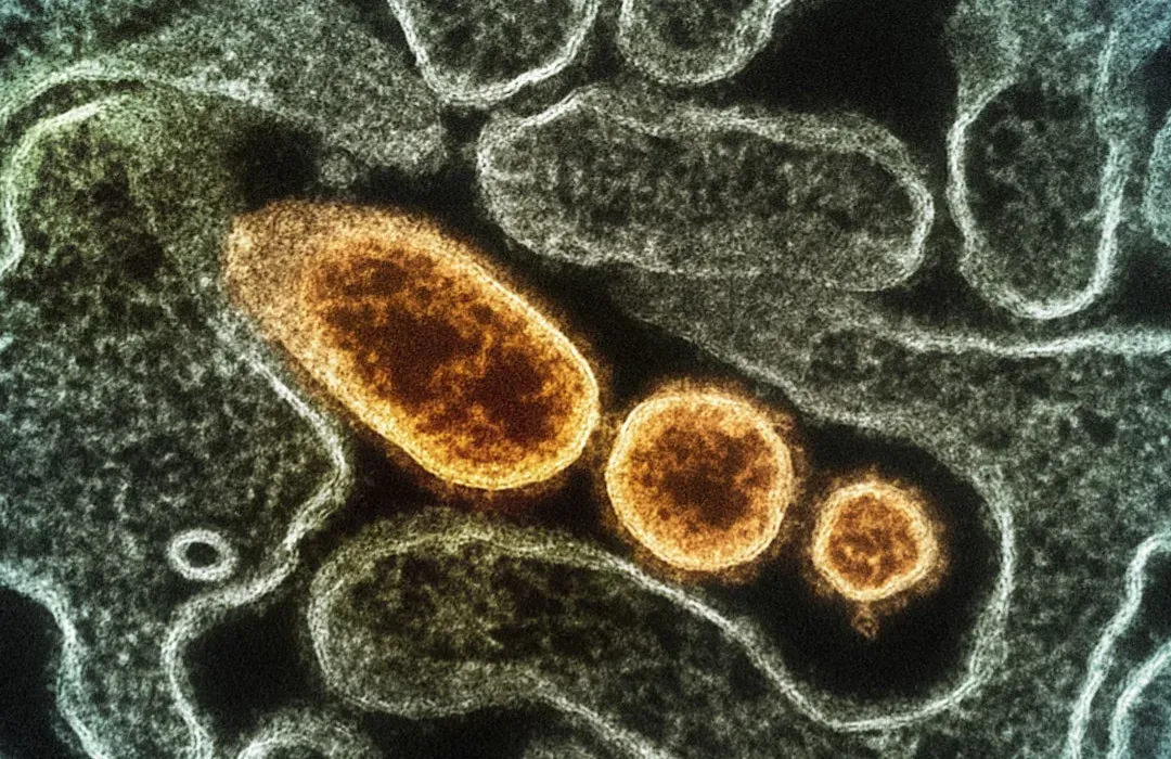 Radiation-Eaters and DNA Repair Champions (Image Credits: Unsplash)