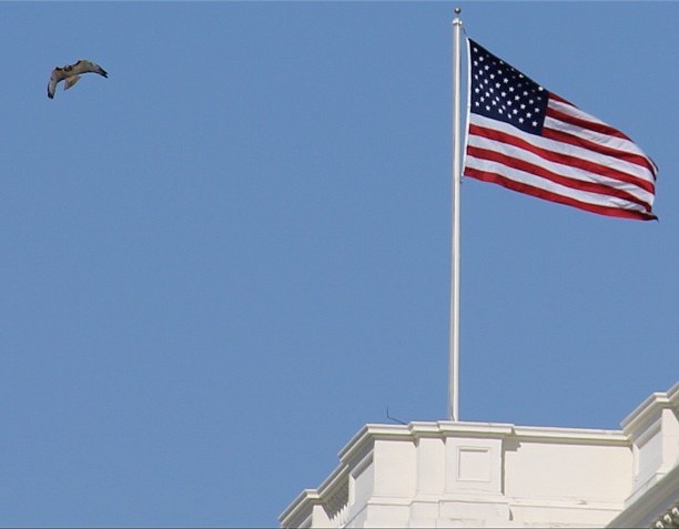 Washington, D.C. (Image Credits: Wikimedia)