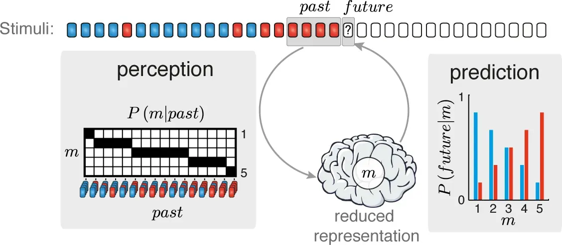 Why It Matters: Illusions, Errors, and the High Cost of a Bent Reality (Image Credits: Wikimedia)