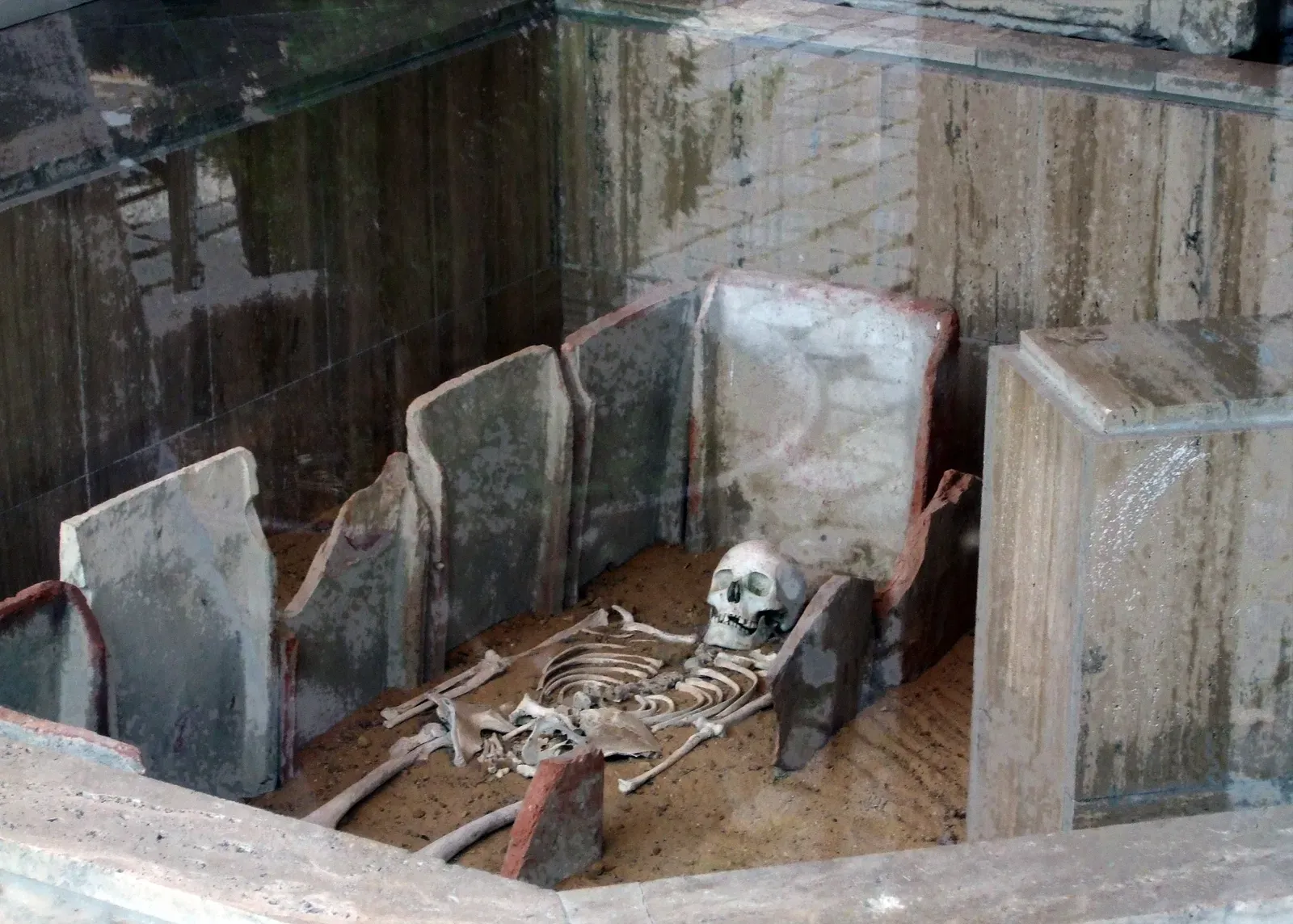 Skeletons That “Do Not Belong” In Their Layers (By These images were created by Amonet.
When reusing, please credit the author as: Amonet from Wikimedia Commons.
If you use any of these works outside Wikimedia projects, a short notification message would be appreciated.
Do not copy this image illegally by ignoring the terms of the license below, as it is not in the public domain.
More of my work can be found in my personal gallery., CC BY-SA 3.0)