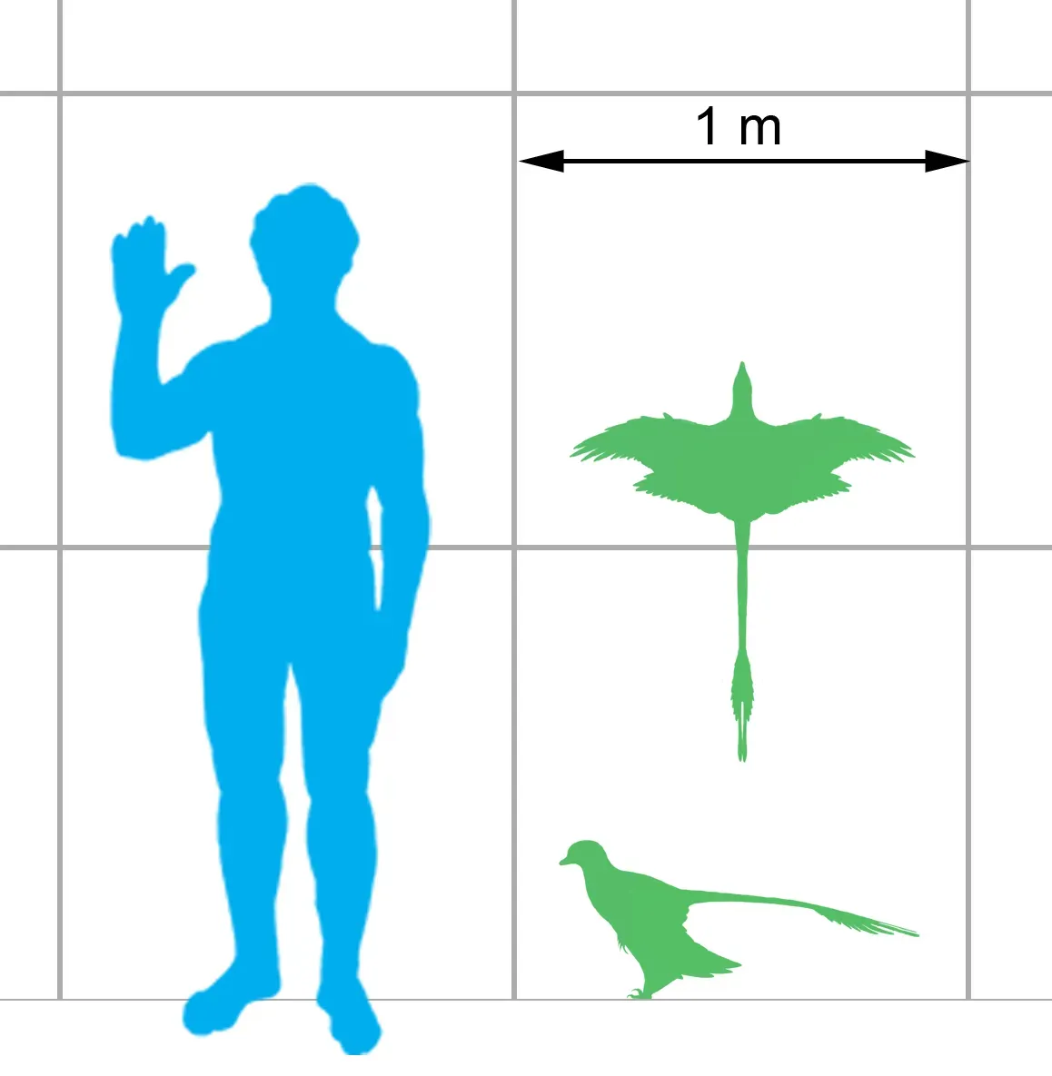 Gemini and Microraptor: Multi-Tasking with Four Wings and a Curious Brain (Image Credits: Wikimedia)