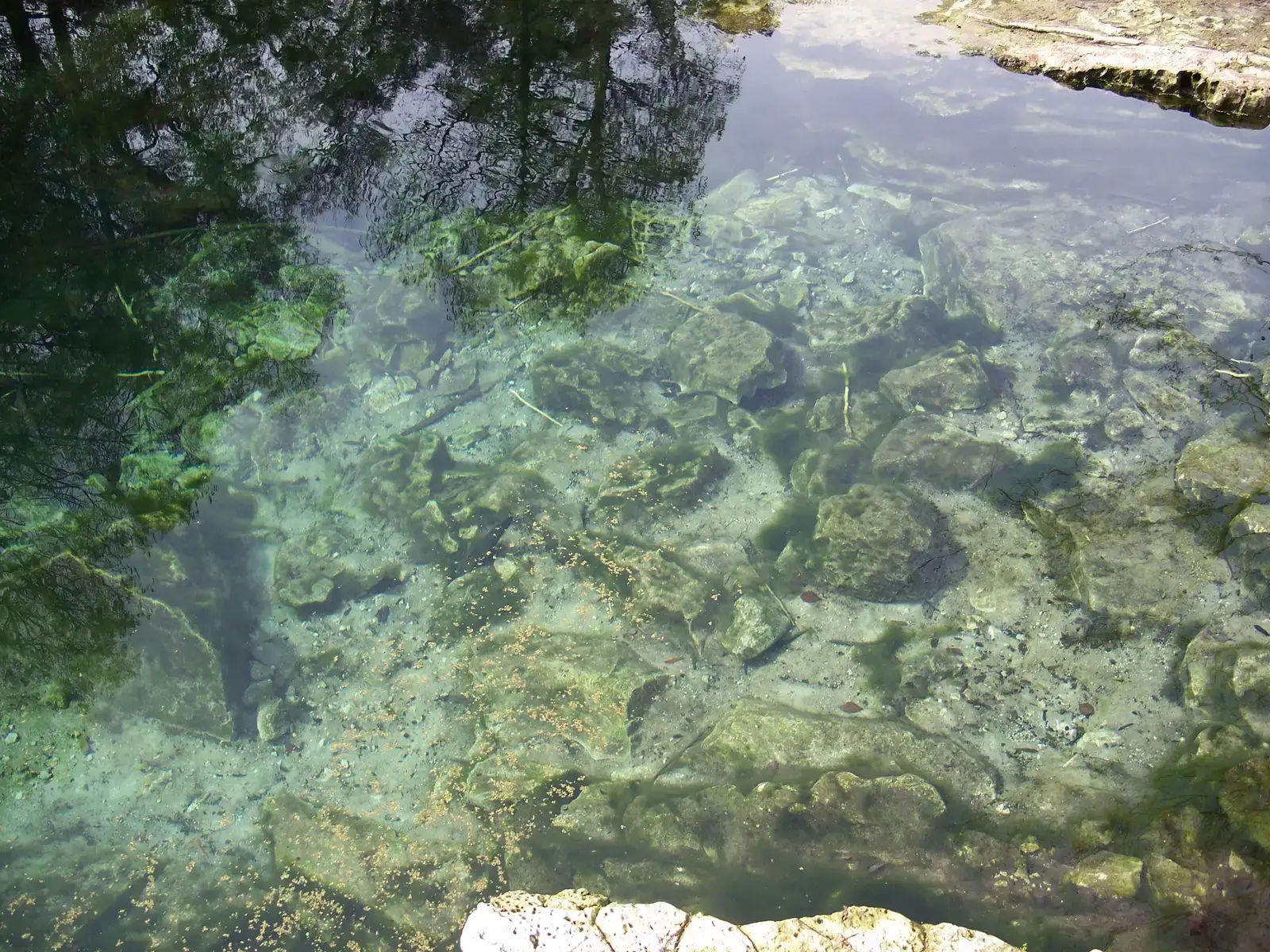 #8 - Florida's Karst Springs, USA: Art On The Edge Of The Aquifer (By Ebyabe, CC BY-SA 2.5)