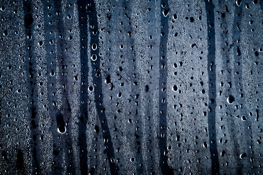 #9 - Humidity Numbers Hide a Sneaky Trick (Image Credits: Unsplash)