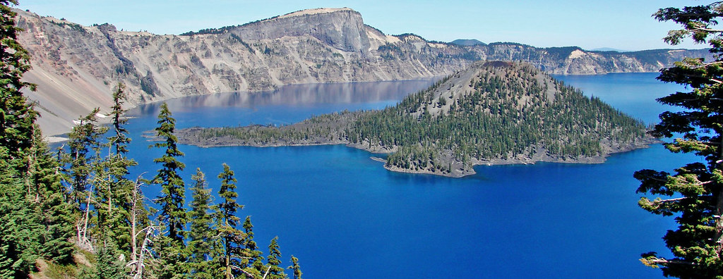 Nature's Perfect Water Collectors (Image Credits: Flickr)