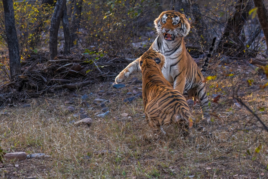 Conclusion (Image Credits: Unsplash)