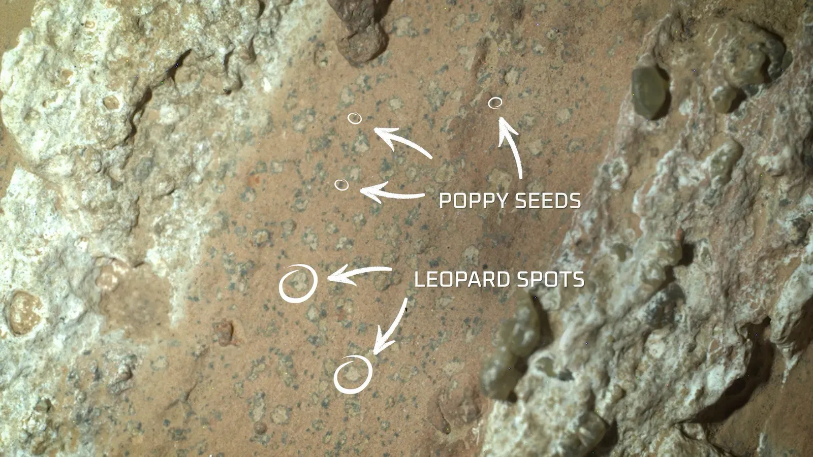 11. The Mysterious Leopard-Spotted Mars Rock: Life, or Not? (Leopard Spots, Public domain)