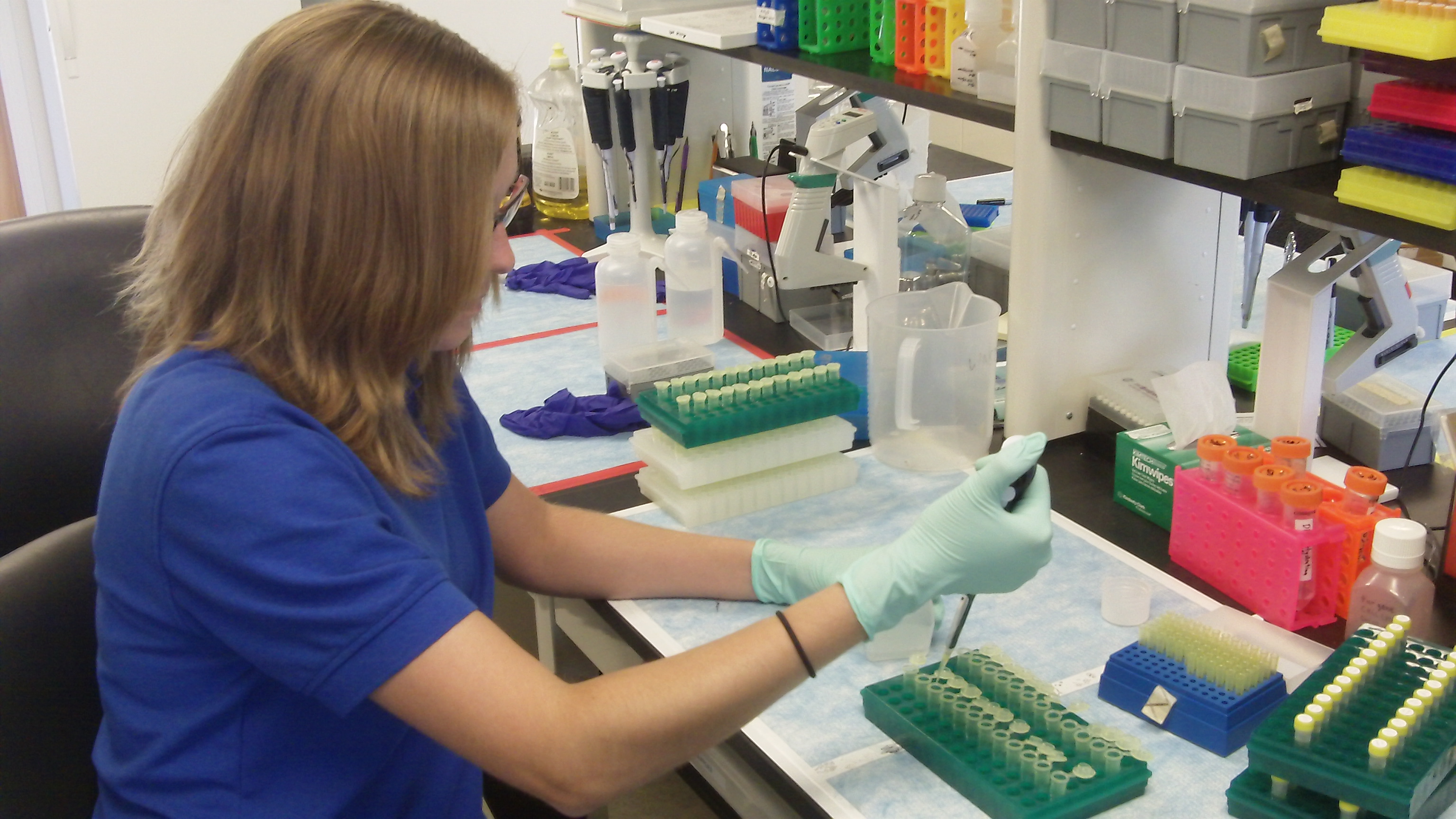 Major Scientific Hurdles Still Ahead (Image Credits: Wikimedia)