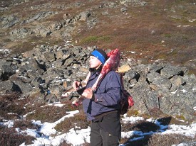 Why It Matters (Image Credits: Wikimedia)