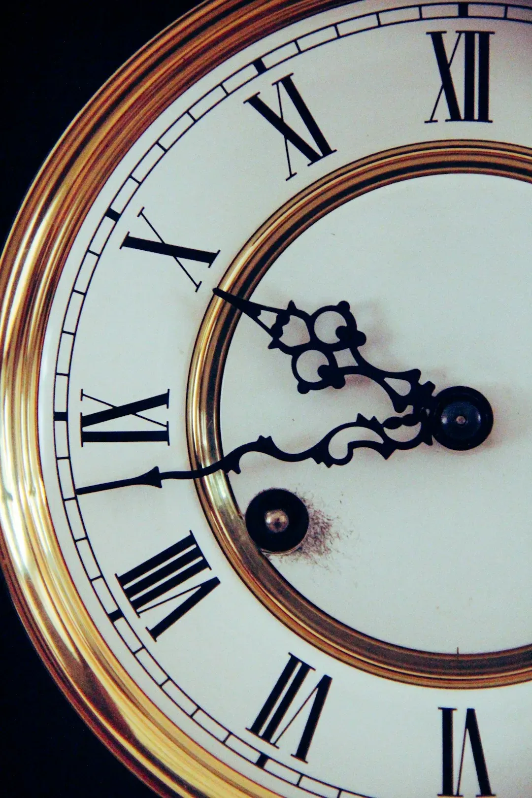 Why It Matters: Causality, Free Will, and the Stories We Tell (Image Credits: Unsplash)