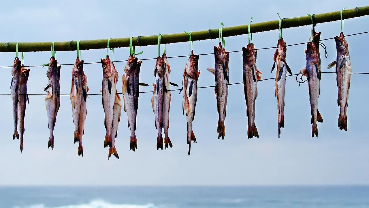 #4 Drying and Dehydrating with Sun, Wind, and Fire (Image Credits: Pixabay)