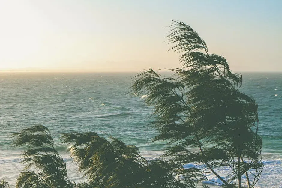 Libra: The Balancing Equinox Breeze (Image Credits: Pexels)