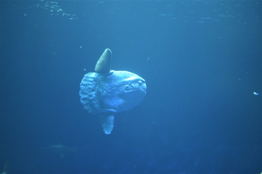 Why It Matters (Image Credits: Unsplash)