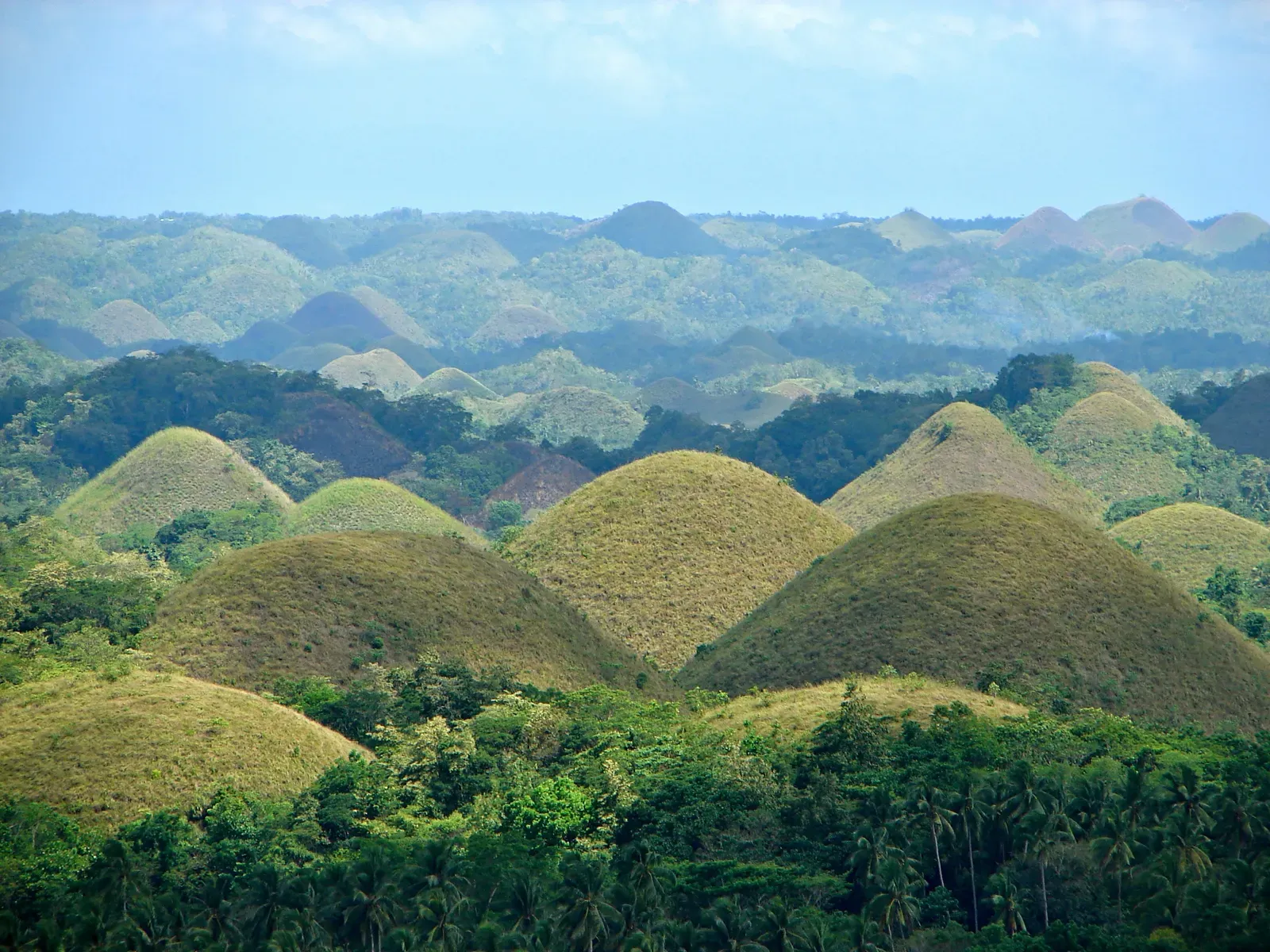 Chocolate Hills, Philippines (Image Credits: Wikimedia)