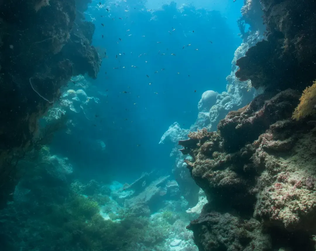 Deep Trenches Are Still One of Earth’s Least Explored Frontiers (Image Credits: Unsplash)