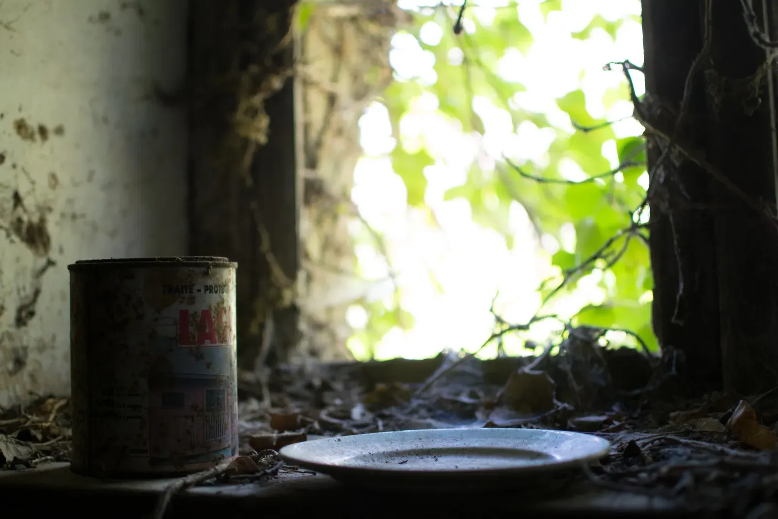 #11 - Centralia, Pennsylvania, USA: A Town That Cooked From Below (By 0x010C, CC BY-SA 3.0)